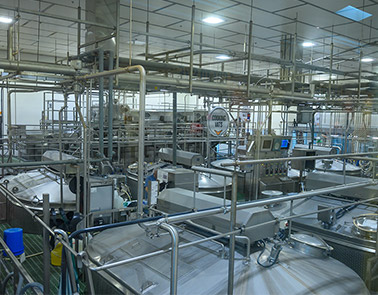 Linie do produkcji twarogu